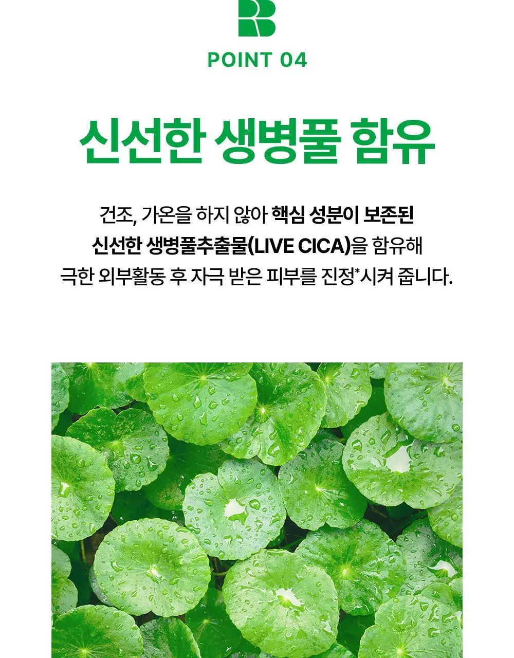 [흔적개선] 리얼베리어 시카 그린 톤업 선크림 50ml 상세페이지 25
